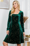 Forest Green Velvet Holiday Sparkles Dress