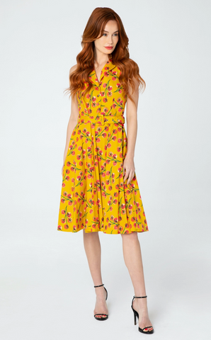 "Jani" Collared Button Down Swing Dress in Fruit on the Vine Print