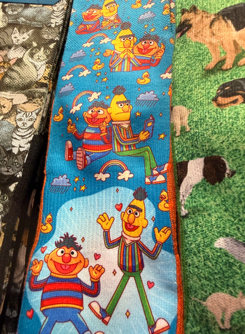 Sesame Street Bert and Ernie Rainbow - Women's Sizing