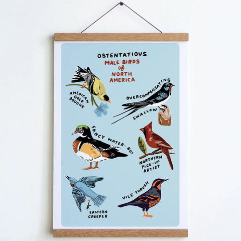 Male Birds of North America Art Print