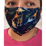 Novelty Print Face Masks